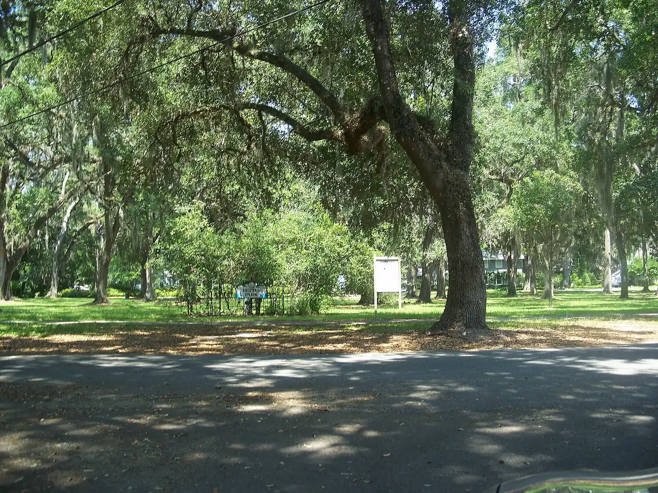 Live oaks over Bettes Park, a small city park in the Old Ortega Historic District, Jacksonville