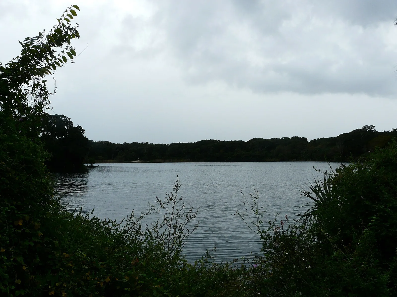 The 60-acre freshwater lake at Kathryn Abbey Hanna Park in Jacksonville.